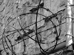 imprisoned